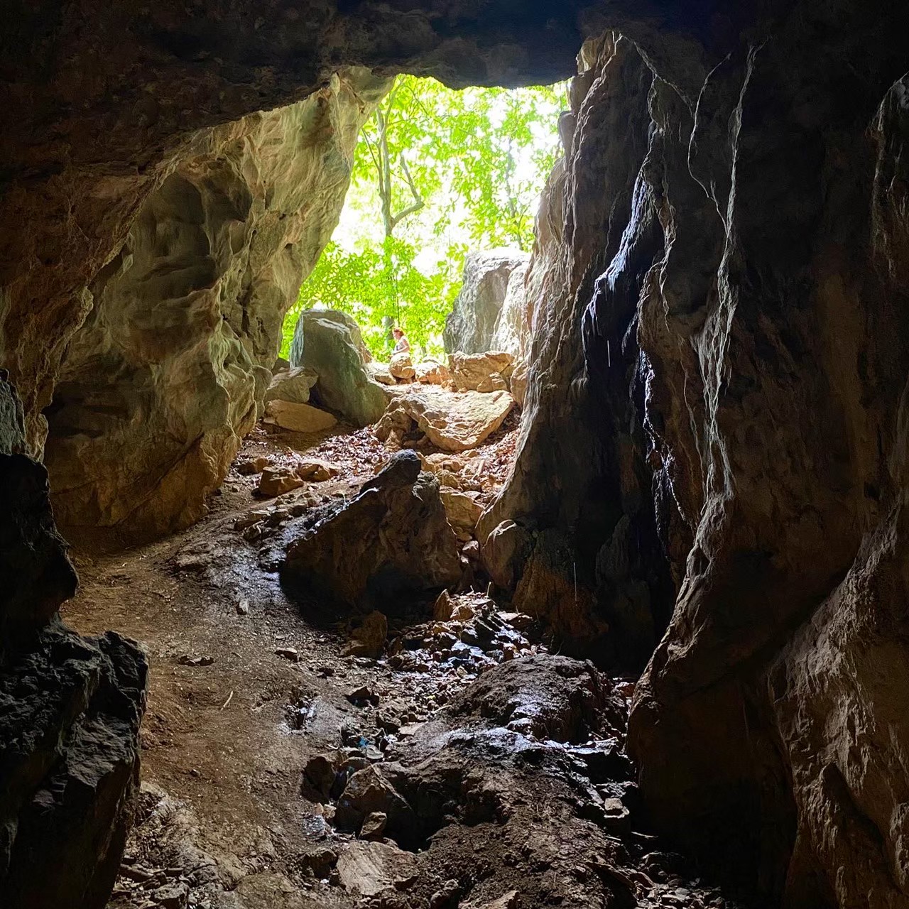 Джунгли Тур