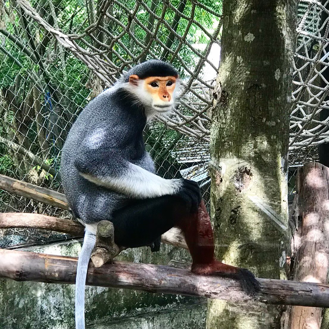 Као Кео ВИП+обед