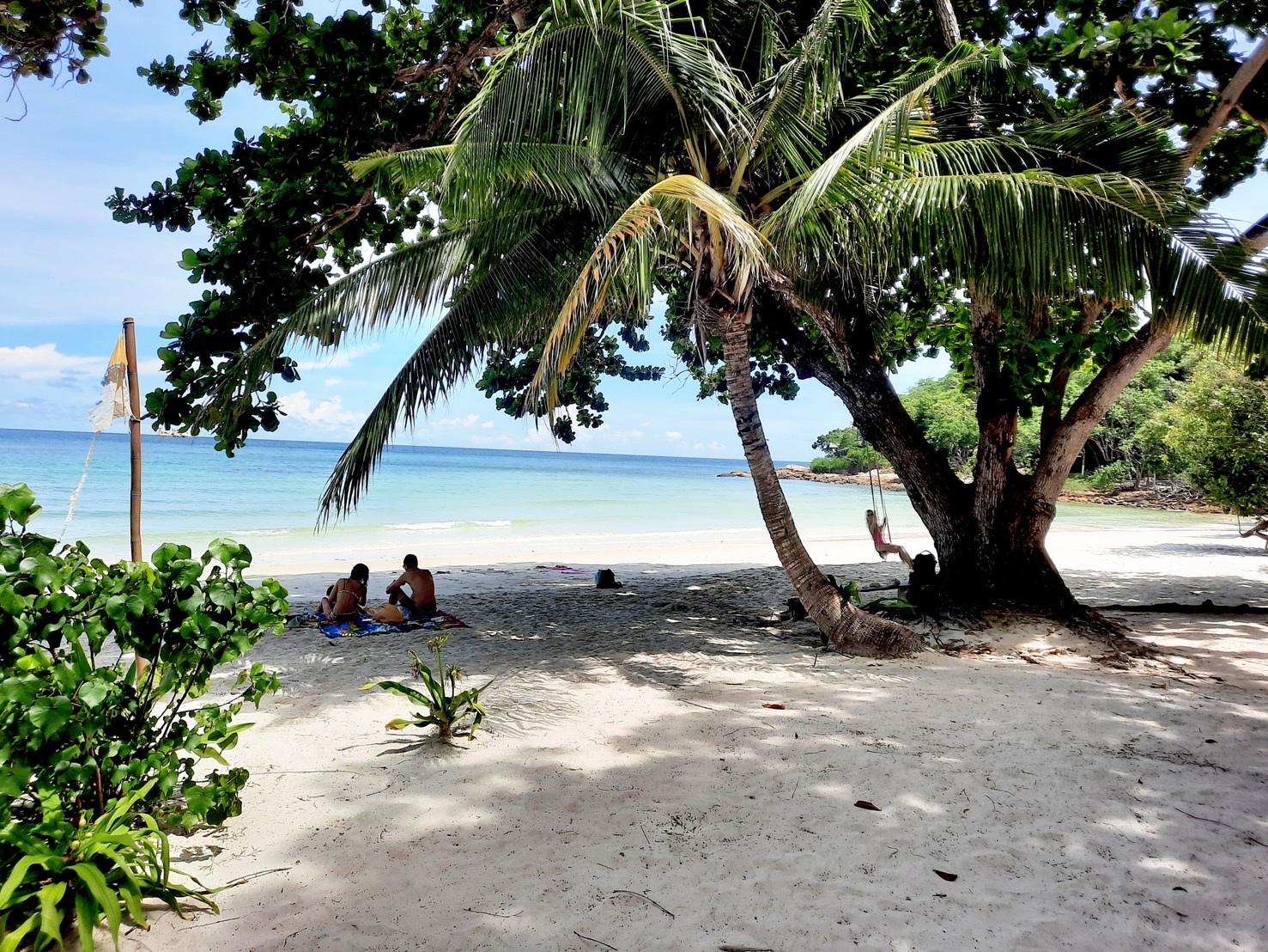 Тропикана морской круиз