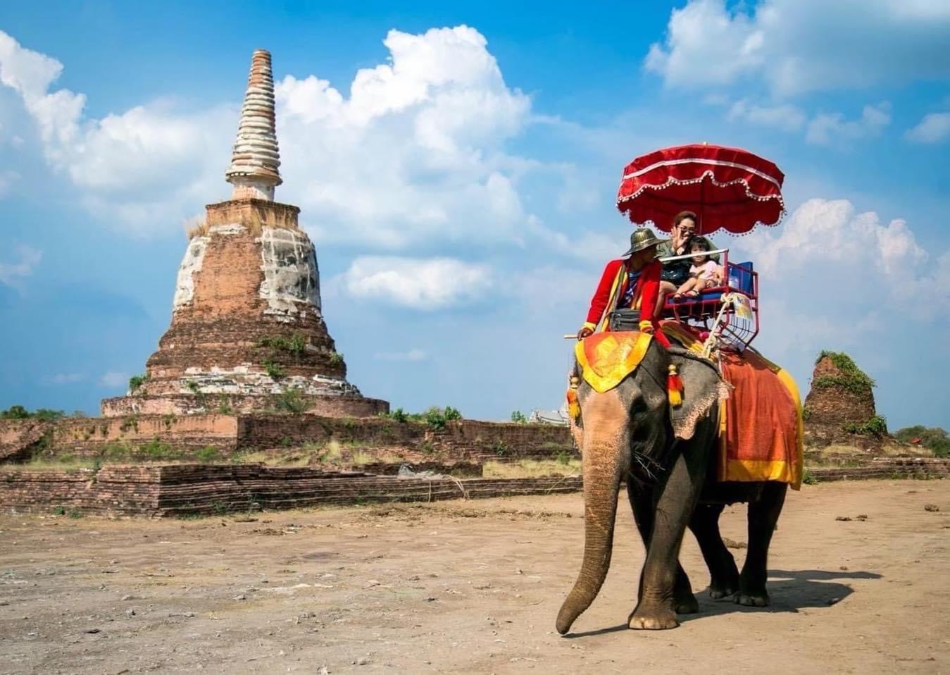 Катание на слонах 30 минут