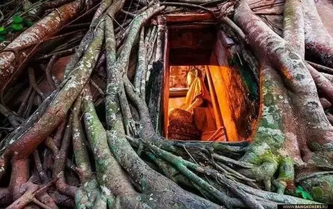 Тайский экспресс+Река Обезьян — фотография 20