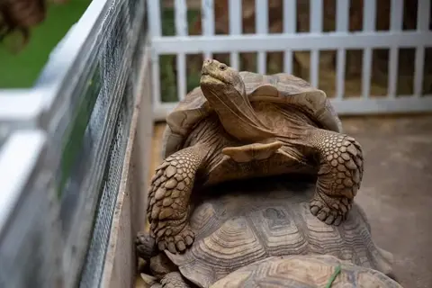 Детские приключения — фото 3