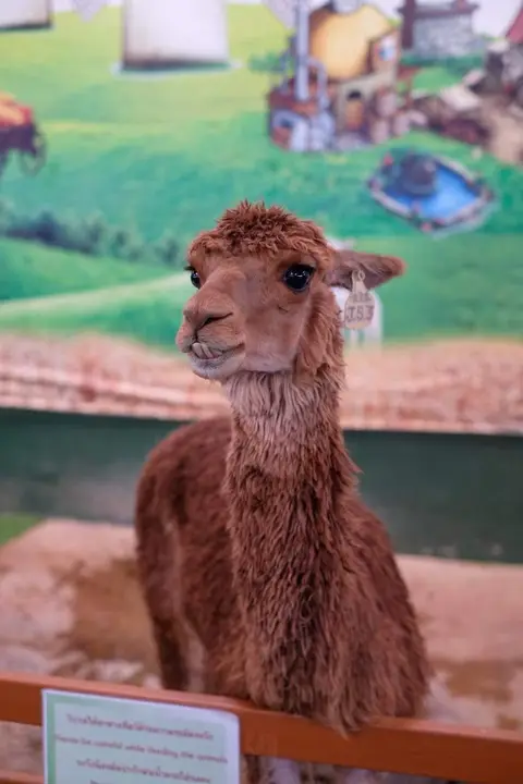 Детские приключения — фотография 8