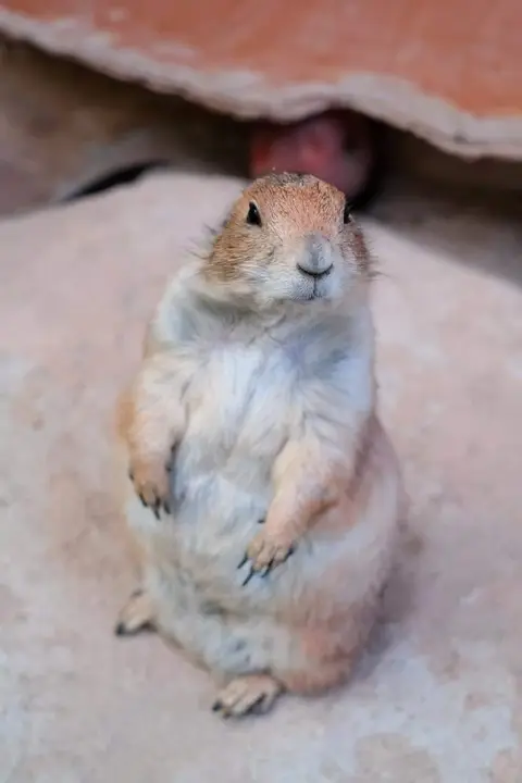 Детские приключения — фотография 9