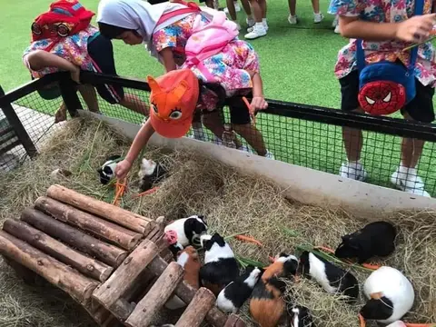 Детские приключения — фотография 17